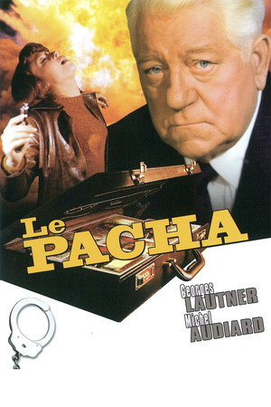 Pasha 8