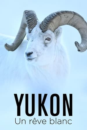 Image Yukon : Un rêve blanc