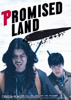 Poster Promised Land 2024