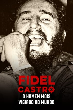 Poster Fidel Castro en la Mira 2015