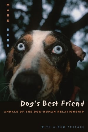 Dog's Best Friend poster