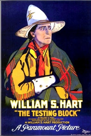 Poster The Testing Block (1920)