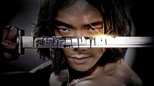 Ninja Assassin (2009) Hindi Dubbed