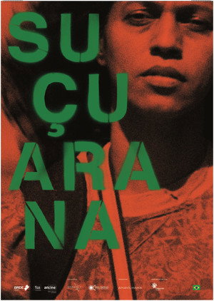 Suçuarana 9