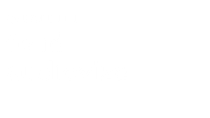 Logo Státní fond audiovize