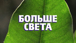 Больше света