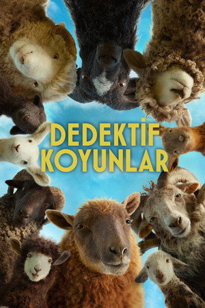 Image Dedektif Koyunlar