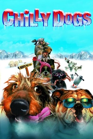 Image Chilly Dogs