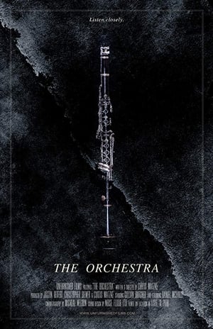 The Orchestra film complet