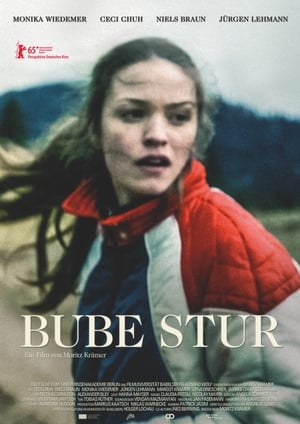 Stubborn Boy poster