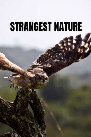 Strangest Nature