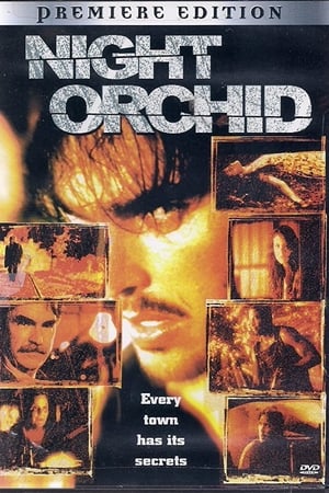 Poster Night Orchid 1997
