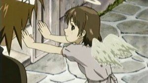 Image Town and Wall / Toga / Haibane-Renmei