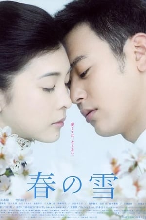 Poster Spring Snow (2005)