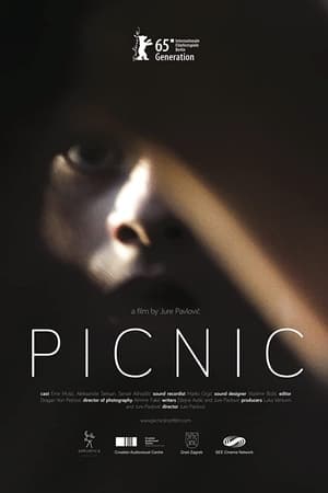 Poster Picnic (2015)