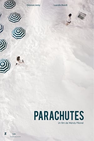 Poster Paracaduti 2012