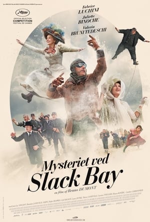 Mysteriet ved Slack Bay 2016