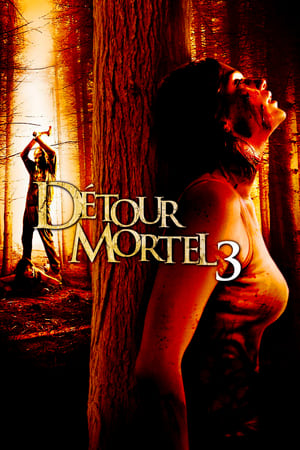 Poster Détour mortel 3 2009