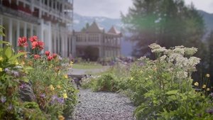 An alpine garden