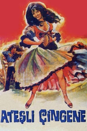 Poster Ateşli Çingene 1969