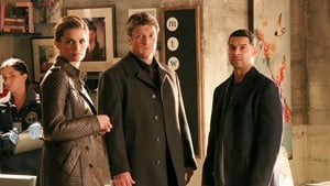 Castle Temporada 5 Capitulo 17