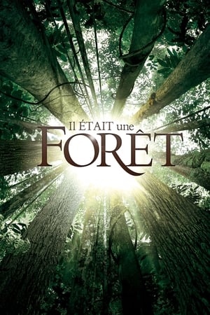 Poster Once Upon a Forest (2013)
