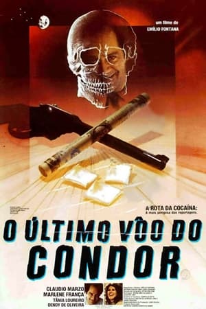 Poster O Último Vôo do Condor (1982)