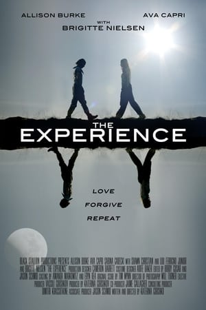 Poster The Experience (2019)