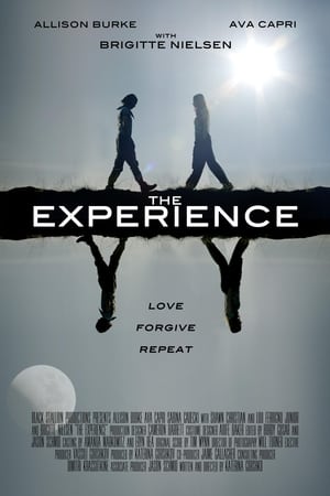 Poster The Experience 2019