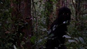 Uncle Boonmee Who Can Recall His Past Lives (2010)