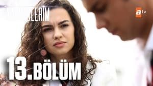 Kardeslerim: 1×13