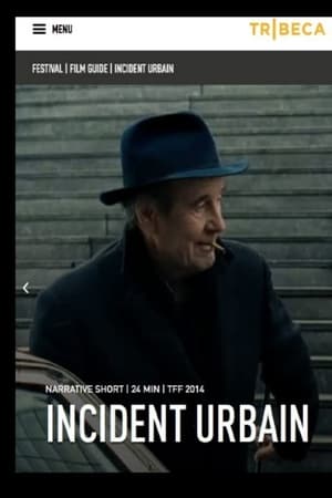 Poster Incident Urbain (2014)