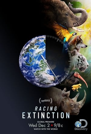Image Racing Extinction - A kihalás kora