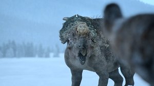 Épisode 7