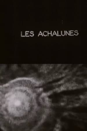 The Achalunés poster