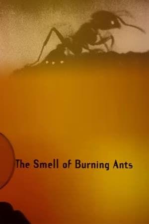 Poster The Smell of Burning Ants (1994)