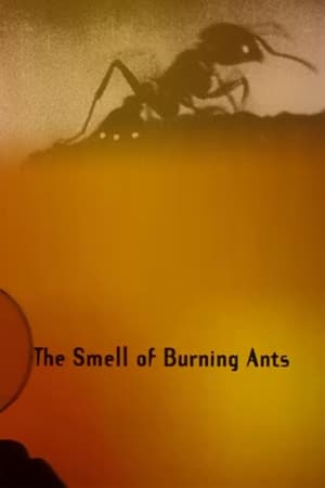 Poster The Smell of Burning Ants 1994