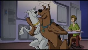 Scooby-Doo! And Krypto, Too! (2023) – CAŁY FILM ONLINE