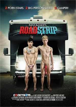 Poster RoadStrip (2014)