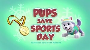 PAW Patrol Pups Save Sports Day