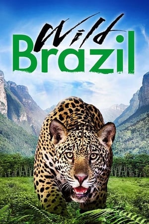 Image Wild Brazil