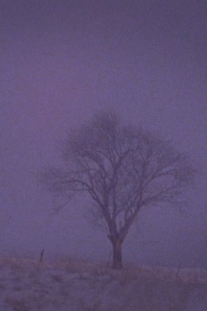Nonton film Tree Over the Valley, Eaton (1974) terbaru sub indo Nonton film Tree Over the Valley, Eaton (1974) terbaru sub indo