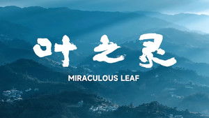 Miraculous Leaf (2026)