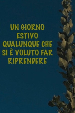 Un giorno estivo qualunque che si è voluto far riprendere