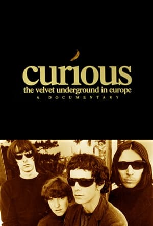 Poster Curious: The Velvet Underground in Europe 1993
