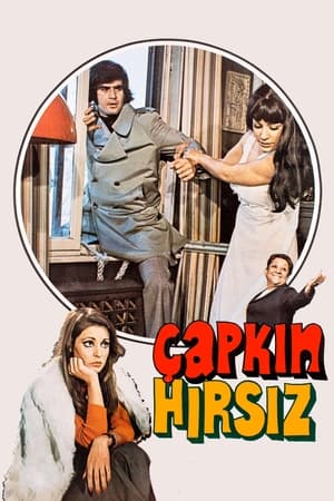 Poster Çapkın Hırsız 1975