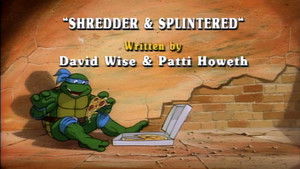 Teenage Mutant Ninja Turtles: 1×5