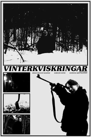 Poster Vinterkviskringar ()