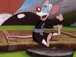 Pinky & der Brain: 3×28