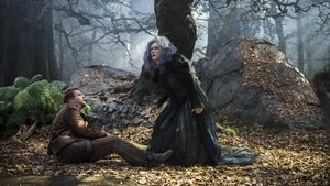 Into the Woods (2014)